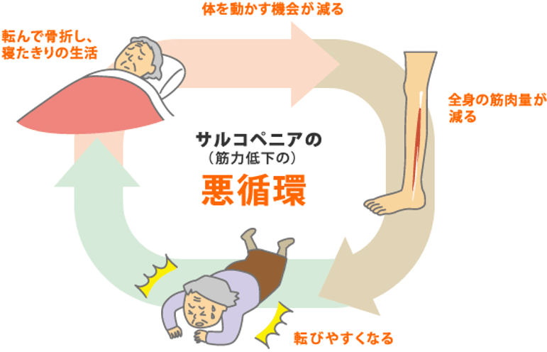 なくなるのはあっという間！！最低限の筋肉しかない人は要注意